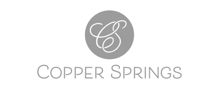 Copper Springs Logo Design by Visualink